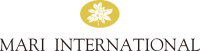MARI INTERNATIONAL