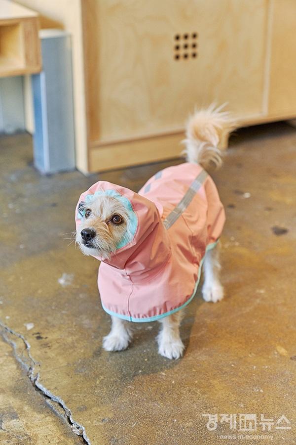 인터뷰사진_뮤니쿤트 레인코트.jpg