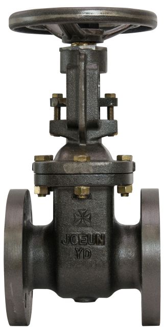 Cast iron 10K flanged external thread gate valve