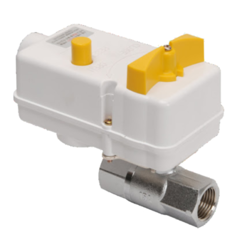 Motorized Valve