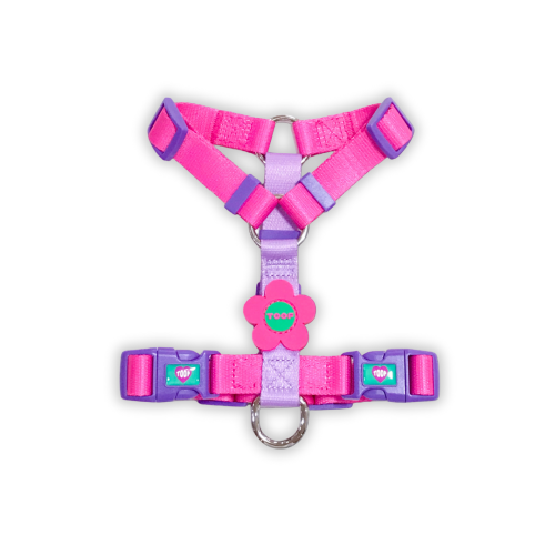 Flower Logo H Harness