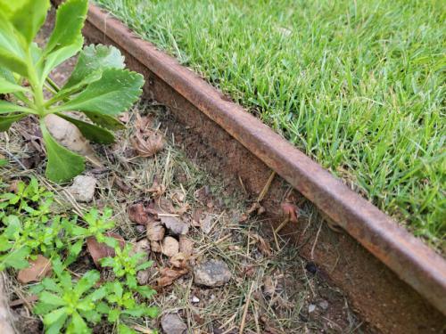 Steel Deco Powder-Coated Metal Railing Design – Lawn Edge / Yard Edge