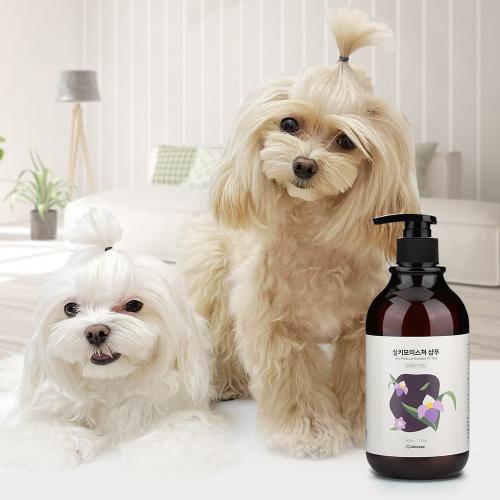 아인솝 강아지 샴푸 실키모이스쳐샴푸