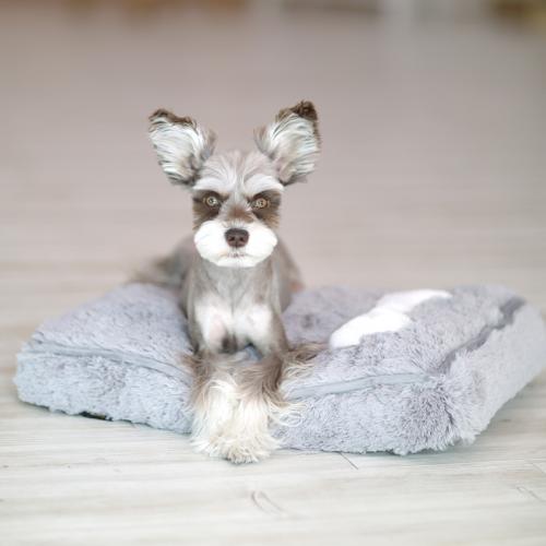 럭셔리 구름방석